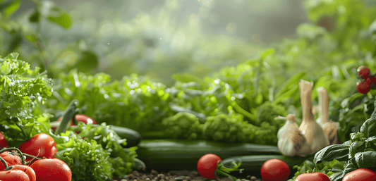 Supercharge Your Plants with Everbloom Green’s Phytoplankton Fertilizer