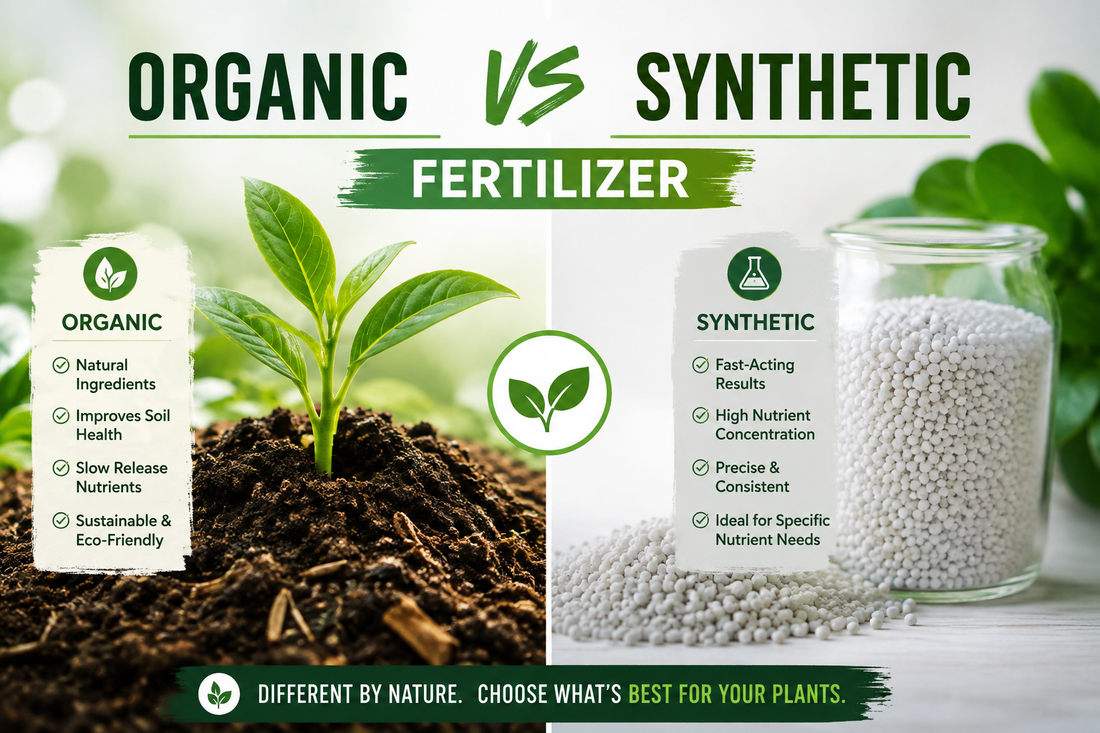 Comparison of organic fertilizer and synthetic fertilizer for healthy garden plants