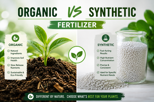 Comparison of organic fertilizer and synthetic fertilizer for healthy garden plants