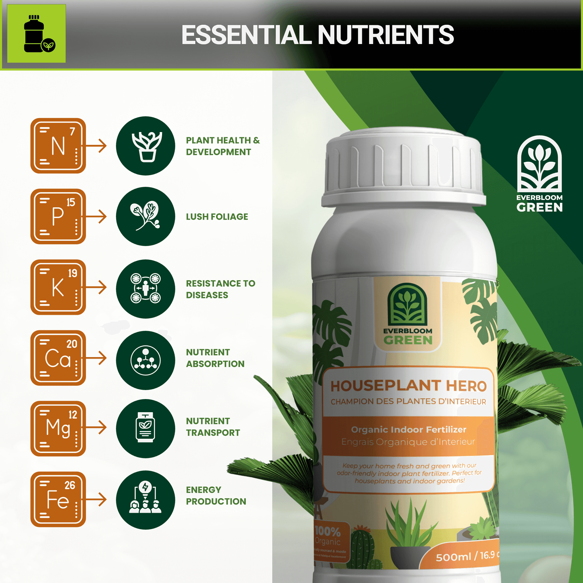 Indoor Plant Fertilizer with Nutrient-Rich Marine Phytoplankton