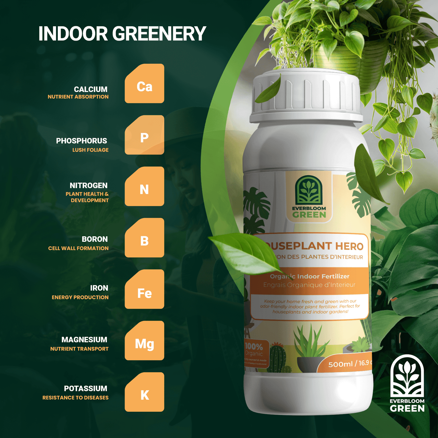 Houseplant Hero Liquid Fertilizer for Strong Roots and Vibrant Leaves