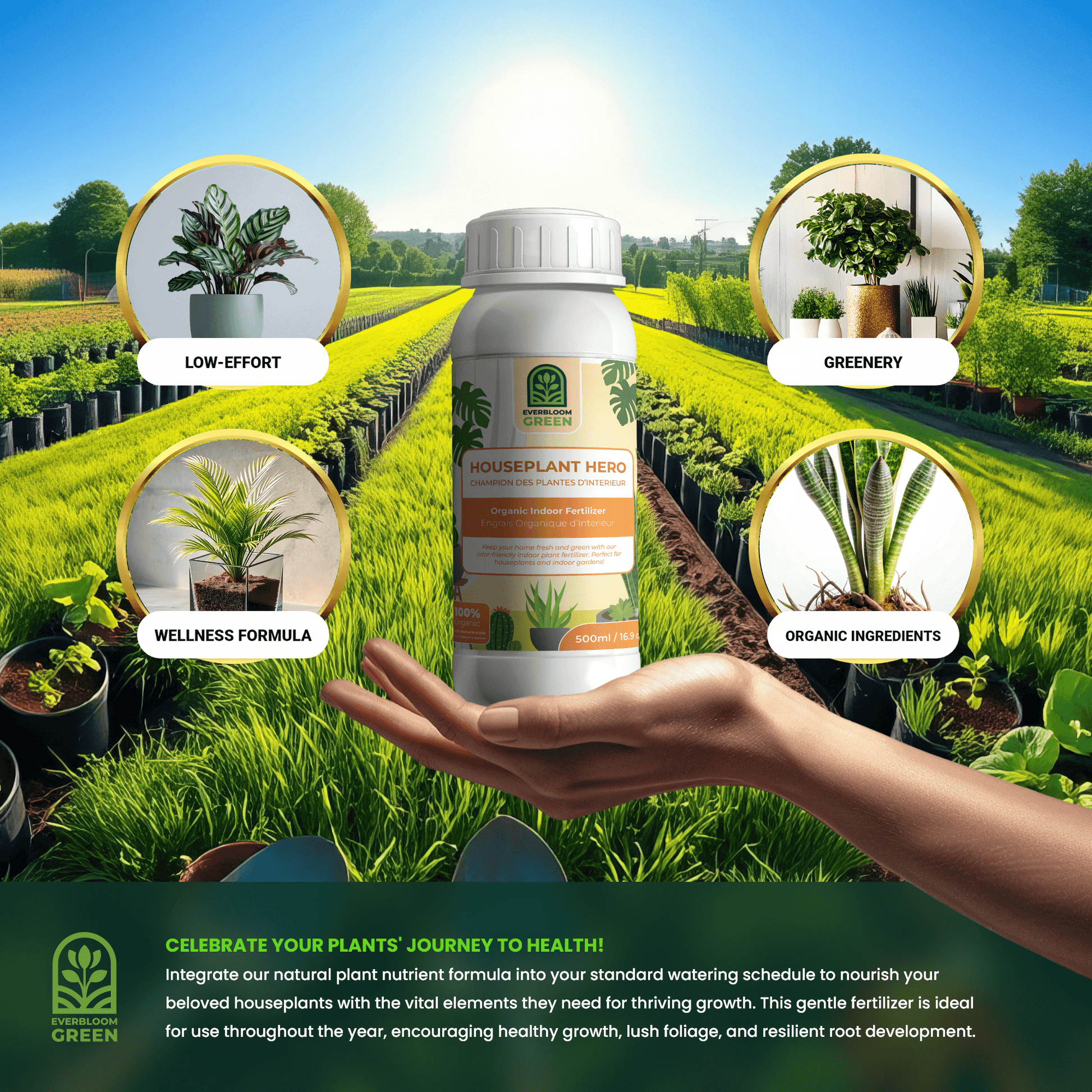Organic Indoor Plant Care Solution - Houseplant Hero by Everbloom Green