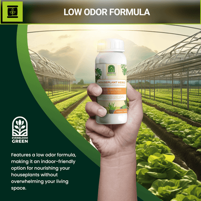 Houseplant Hero Liquid Plant Food with Potassium, Nitrogen, and Phosphorus