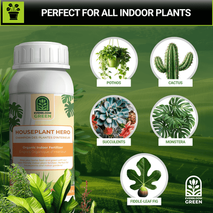 HousePlant Hero - Organic Indoor Fertilizer