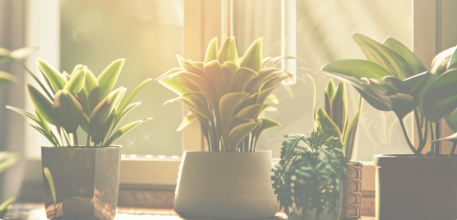 benefits of liquid fertilizer