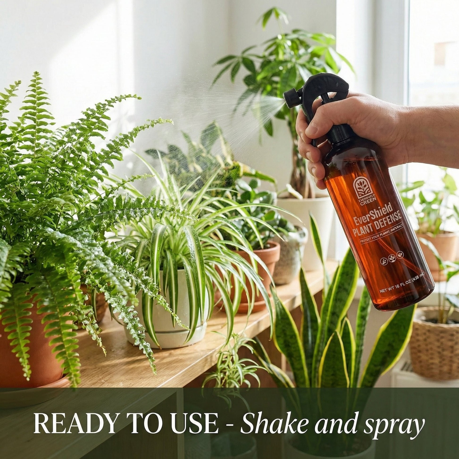Person holding a bottle of EverShield Plant Defense spray over a table with potted plants.