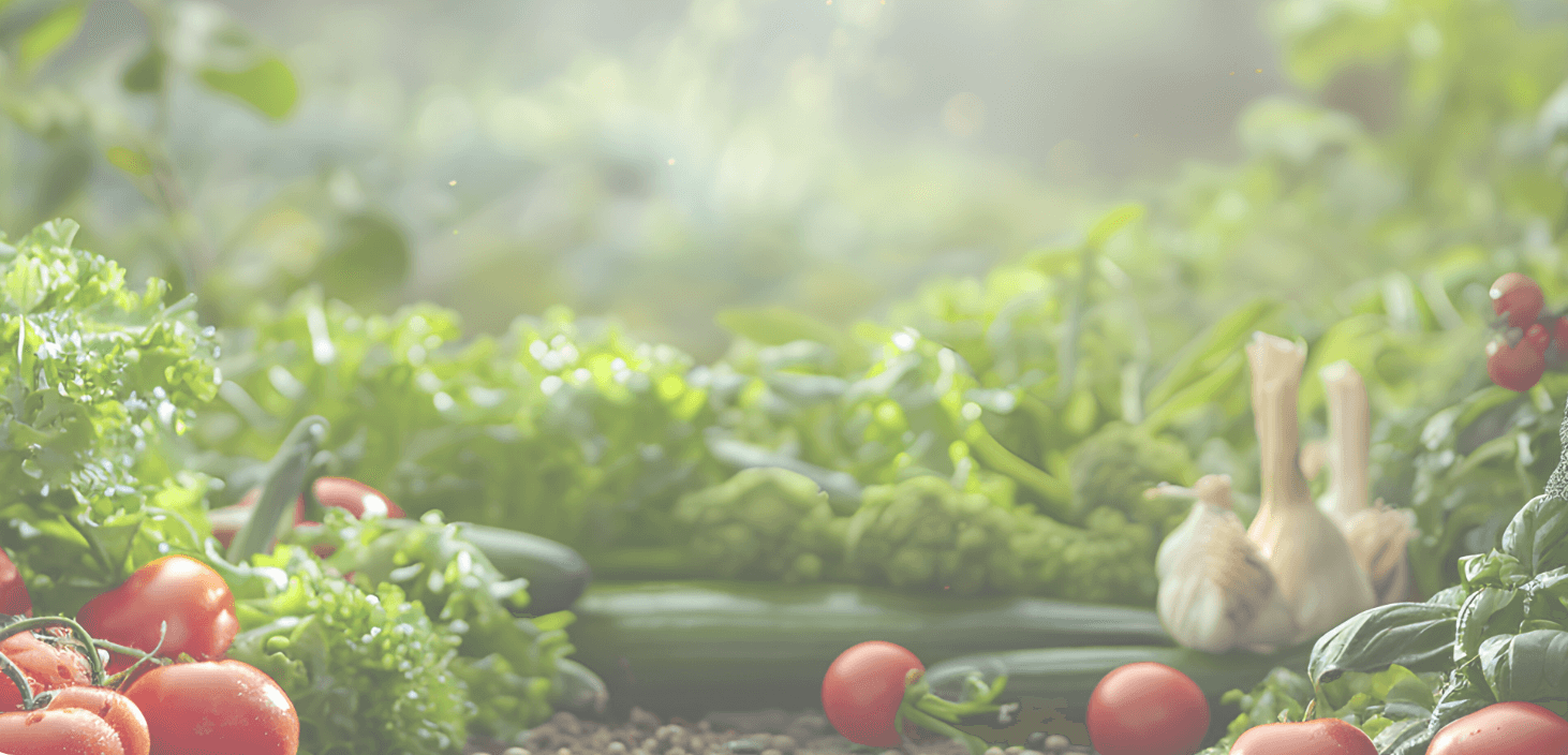 plant growth with liquid fertilizer